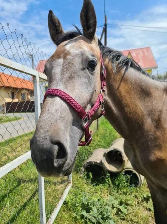 Agro Privat Ξενοδοχείο Hrabušice Εξωτερικό φωτογραφία